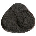 TINTE SALON IN TECHNI TONE 4.00 PERM