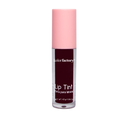 TINTA DE LABIOS KF  # 01 X 4.5 G
