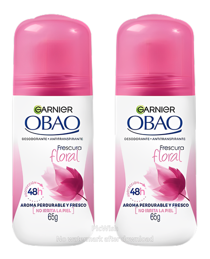 [24051278] Pack Desodorante Garnier Obao Frescura Floral For Woman 65gr